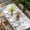 Grey, variant on Green Eucalyptus Leaves Table Cloths for 6 Foot Rectangle Tables, Watercolor Spring Summer Botanical Patio Waterproof Elastic Fitted Tablecloths, Washable Rectangular Table Cover for Camping
