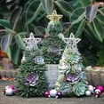 thumbnail image 2 of De Árbol De Navidad Con Resina De Estrella Suculentas Artificiales Realistas Plantas Adorno De Escritorio Decoración De Navidad Regalos sonducket HA040740-02, 2 of 6