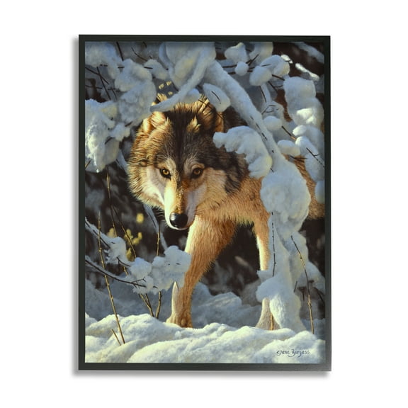 Stupell Industries Wolf Among Snowy Branches Animals & Insects Photography Black Framed Art Print Wall Art, 11 x 14