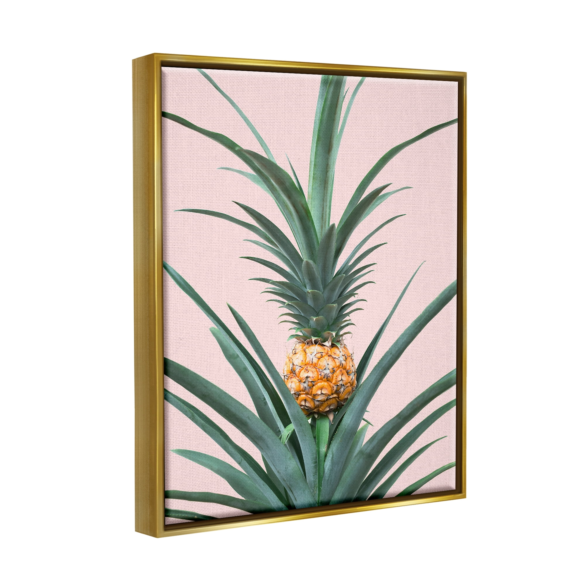 Stupell Industries Pineapple Plant on Pink Food & Beverage Photography Gold Floater Framed Art Print Wall Art, 17 x 21