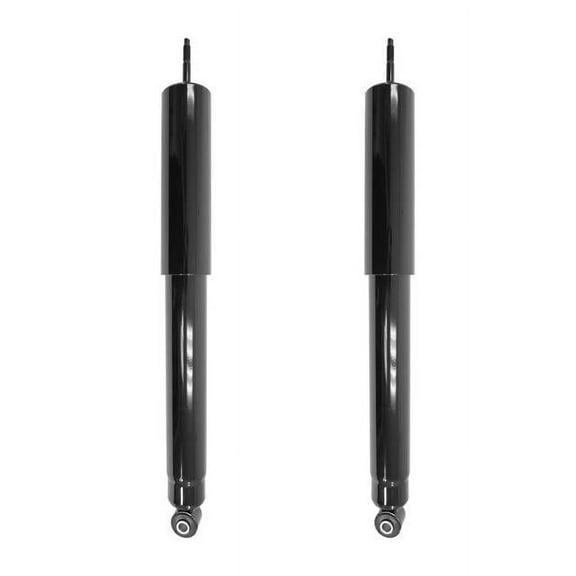 Unity Automotive 2-253110-001 Rear Shock Absorber Kit For 2007 Ford E-150