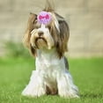 thumbnail image 5 of piezas de pinzas para el pelo de perro, pelo de gato, perro, pasadores para el pelo de mascotas, horquillas hechas a mano, estilo 4, 5 of 5
