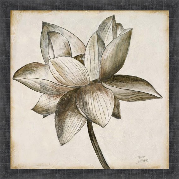Great Art Now Sepia Lotus I by Patricia Pinto, Framed Wall Art, 17.5W x 17.5H