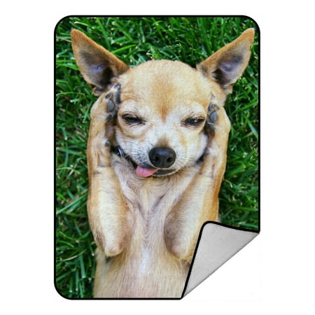 Dog Blankets And Throws YKCG Funny Animals Cute Chihuahua Dog Paw on Head Blanket Crystal Velvet Front and Lambswool Sherpa Fleece Back Throw Blanket 58x80inches ()