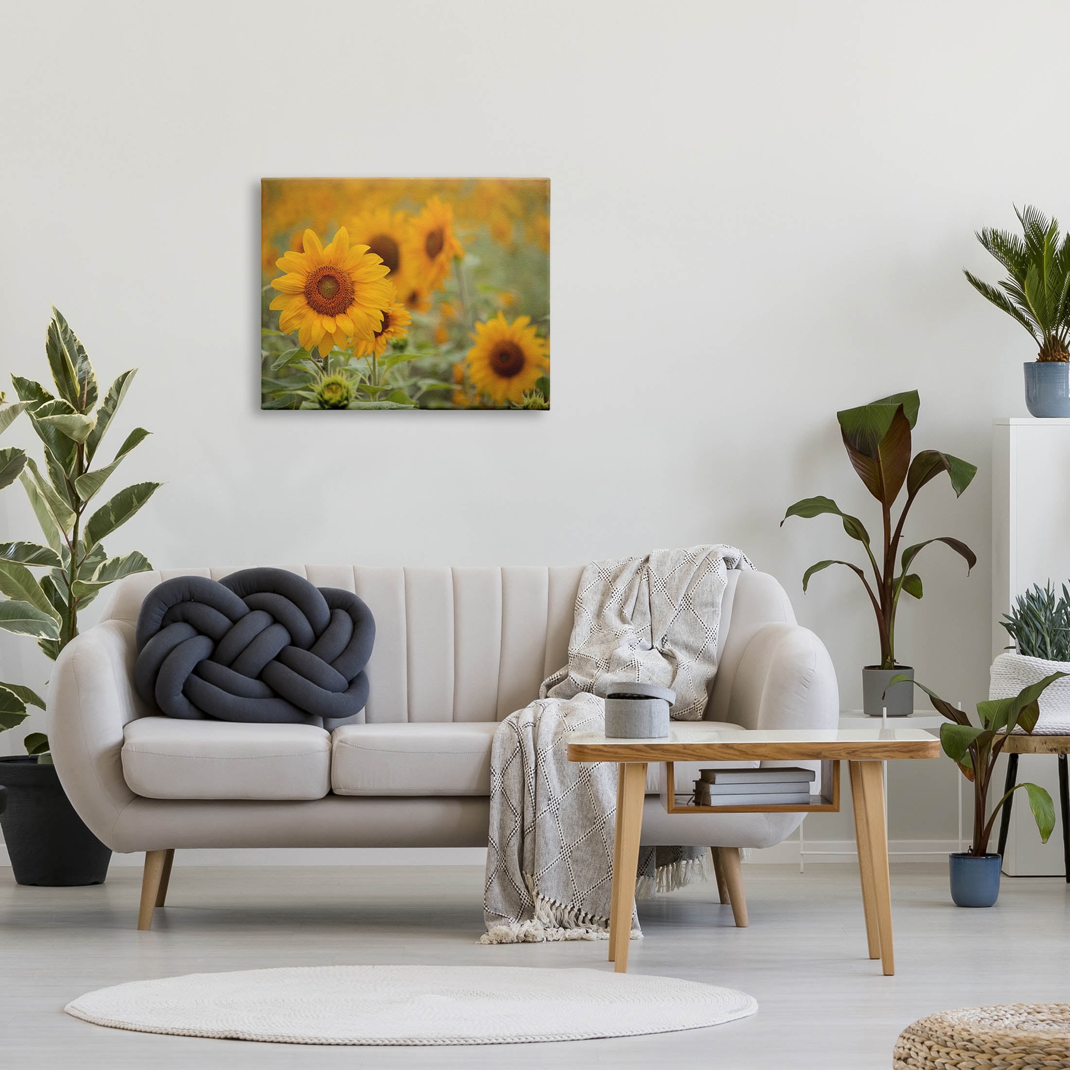 Sunflower Field Nature Blooms Botanical & Floral Photograph Gallery Wrapped Canvas Print Wall Art