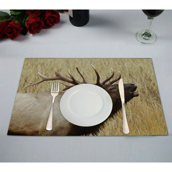 EREHome Bull Elk Stag Bugling Calling Rocky Mountain Cervus Canadensis Placemat Table Mat Cup Mat 12x18 inch,Set of 2