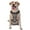With Accessories, variant on Vsdgher Hedgehogs and Flowers1 Pattern Dog Harness,No Pull Pet Harness with Soft Padded Handle,Adjustable Reflective Vest with 2 Buckles,4 Slide Buckles,S-XL Large