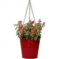 Houston International Trading 6151E XR S-2 9 x 9 in. Enameled Galvanized Steel Hanging Planter, Red - Set of 2