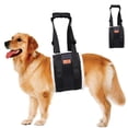 thumbnail image 6 of Dog Support Belt Foldable Design Comfort Gripping Handle Adjustable Strap For Small to Large Dogs Walking Training, 6 of 9