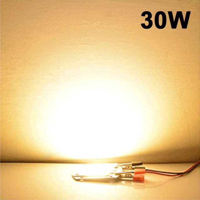 LED COB lamp Bead 30W Warm Light AC 220V 240V IP65 Smart IC No Need Driver DIY Flood light Led Bulb Spotlight Outdoor Chip Lamp Gong Bohan LED
