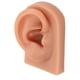 thumbnail image 2 of Modelo de oreja perforadora, práctica de perforación 3D, modelo de oreja de silicona, calidad en la que puede confiar, 2 of 8