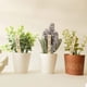 thumbnail image 3 of 50 marcadores de plantas de madera con rotulador, plano de madera puntiagudo impermeable, 3 of 5
