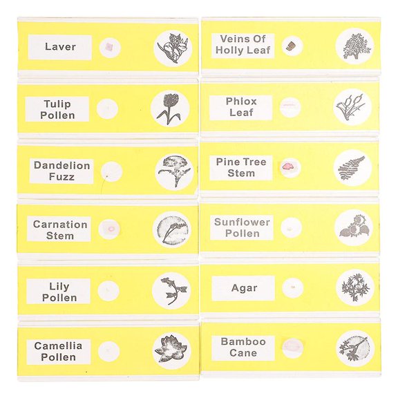 1pcs Prepared Microscope Slides