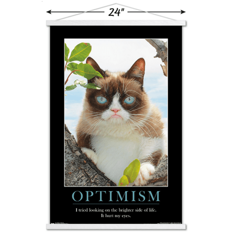 Grumpy cat pictures with quotes