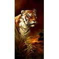 thumbnail image 2 of Lee, James 14x24 Black Ornate Wood Framed with Double Matting Museum Art Print Titled - The Power and Grace, 2 of 4