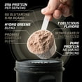 thumbnail image 3 of PMD Sports Amplify XL Premium Whey Protein Supplement Hydro Greens Blend - Glutamine and Whey Protein Matrix with Superfood for Muscle, Strength and Recovery - Cinnamon Toast (24 Servings), 3 of 10