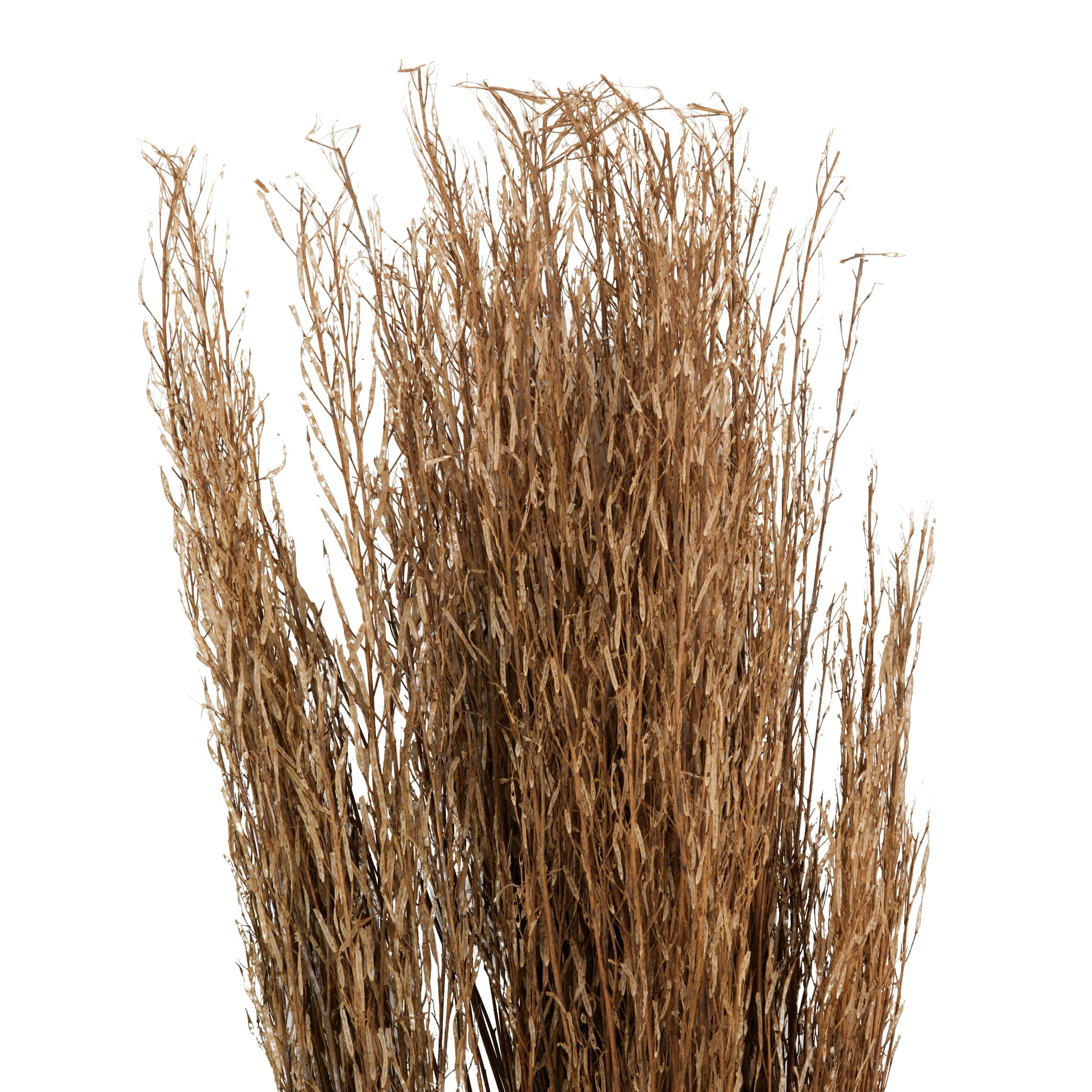 42" Tall Sticks Dried Plant Natural Foliage Bouquet with Grass, by DecMode