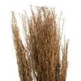 thumbnail image 4 of 42" Tall Sticks Dried Plant Natural Foliage Bouquet with Grass, by DecMode, 4 of 9