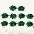 thumbnail image 3 of plastic cheer poms 10 Pcs/5 Pairs 25g Plastic Cheering Balls Squad Spirited Fun Cheerleading Kit Cheer Poms Cheerleaders Supples with Handle for Competition Cheering Sports Events (Green), 3 of 10