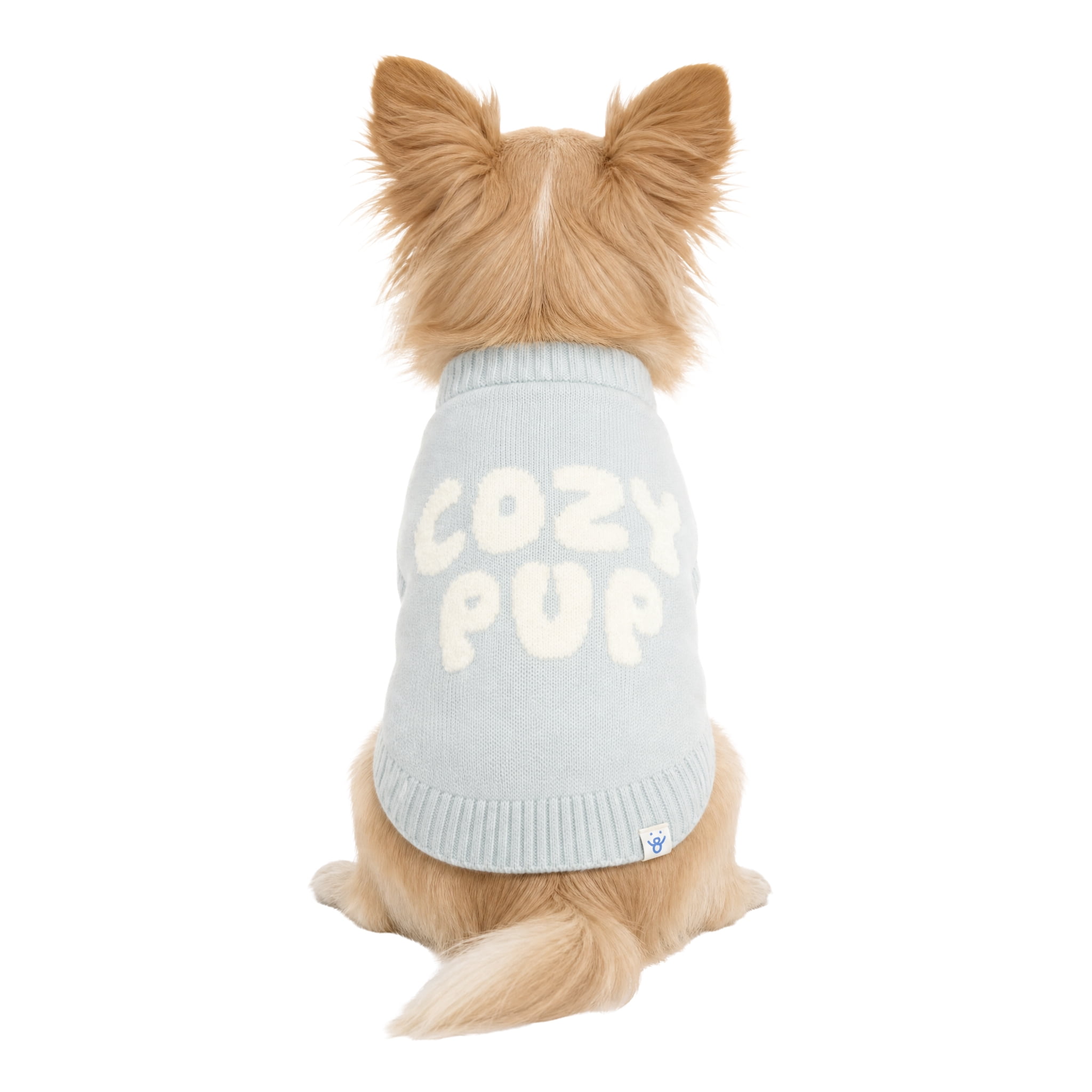 Oodles Cozy Pup Fall Dog Sweater, Blue, XS