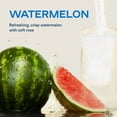 thumbnail image 5 of Liquid I.V.® Watermelon Hydration Multiplier® Powdered Electrolyte Drink Mix, 6 Count Packets, 5 of 11