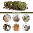 thumbnail image 4 of Qweryboo 2 Pcs Rabbit Chew Toys, Bunny Hanging Chew Toys for Teeth, Apple Sticks with Timothy Hay Balls Grass Pets Chew Treats for Hamsters, Rabbits, Chinchilla, Guinea Pigs, 4 of 7