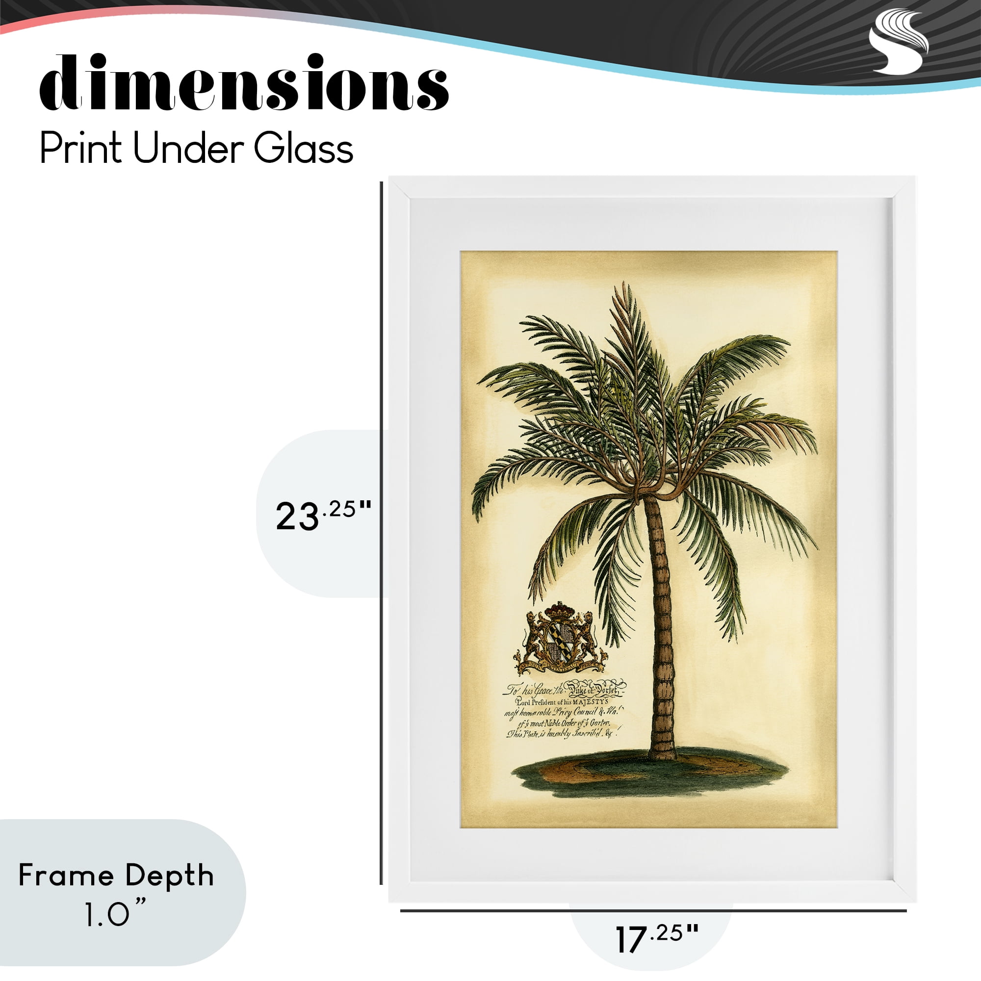 Stupell Industries British Colonial Palm White Framed Print Under Glass, design by Vision Studio