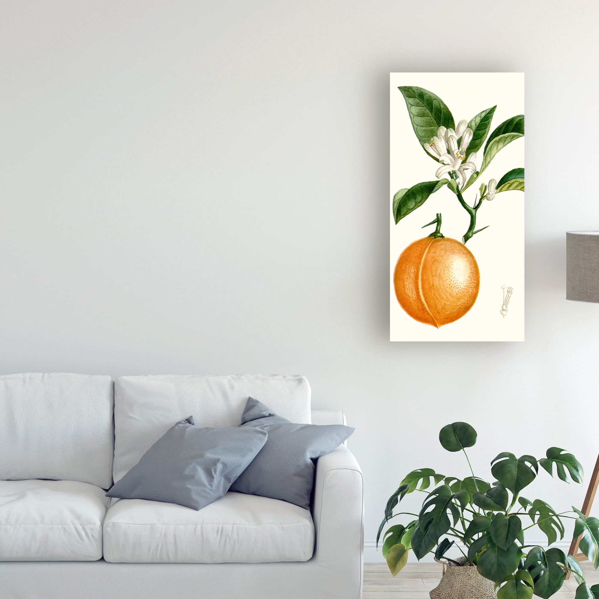 Trademark Fine Art 'Turpin Fruit IV' Canvas Art by Turpin