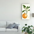thumbnail image 3 of Trademark Fine Art 'Turpin Fruit IV' Canvas Art by Turpin, 3 of 4