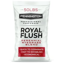 Pennington Royal Flush Overseeding Perennial Ryegrass Blend 50lb