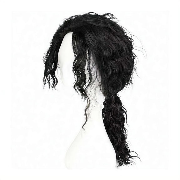 Black Curly Wig for Men 70s 80s Rocker Costume, Long Wavy Synthetic Hair for Halloween Party Retro Cosplay, Stage Performance