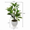 thumbnail image 4 of Lerman Decor's plant in cement pot, 4 of 4