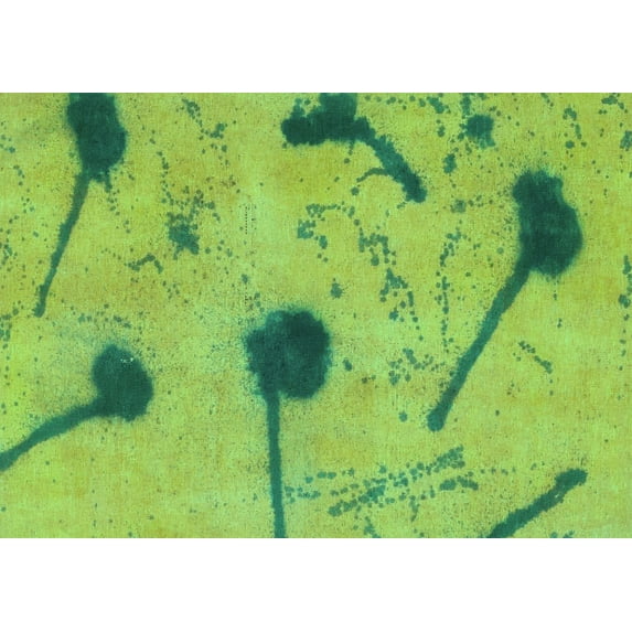 Ahgly Company Indoor Rectangle Abstract Turquoise Blue Modern Area Rugs, 3' x 5'