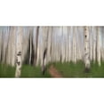 thumbnail image 3 of Allen, Kimberly 24x14 Black Modern Framed Museum Art Print Titled - Path through the Aspens, 3 of 5