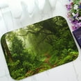 thumbnail image 1 of Felpudo ABPHQTO Bosque subtropical en Nepal Alfombra de entrada 40x60 cm, 1 of 1