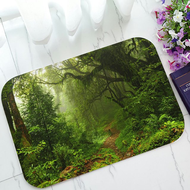 Felpudo ABPHQTO Bosque subtropical en Nepal Alfombra de entrada 40x60 cm