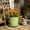 🔥 Green_New, variant on TTJ Gifts Modern Twill-Textured Round Plastic Planter Breathable Root-Control Pot Minimalist Decorative Indoor Outdoor Plant Container Durable Plastic Plant Pot For Home