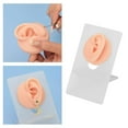 thumbnail image 2 of Exhibición de parte del cuerpo del modelo de oreja de silicona para práctica de perforación y exhibición de joyas Color de piel claro, 2 of 7