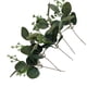 thumbnail image 2 of Rama única con fruta Decoración de hojas de eucalipto con fruta Arreglo floral de hojas de eucalipto Decoración Simulación de hoja de dinero, 2 of 5