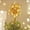 Exploding Gold, variant on Luxspire Christmas Tree Topper, 3D Star Lighted Tree Topper, Christmas Decorations, Plug in Christmas Tree Topper with Timer,Champagne Gold