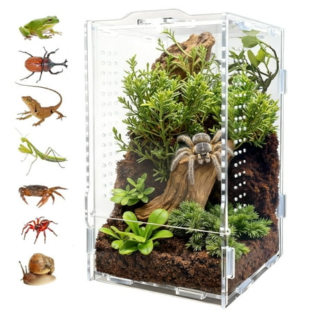ZALALOVA Acrylic Jumping Spider Enclosure - Insect Terrarium for Spiders, Reptiles Habitat for Praying Mantis, Tarantula, Snail, Hermit Crab, Frog