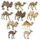 thumbnail image 1 of Juego de figuras de camello, 10 piezas, realistas, de PVC, animales del desierto para niños de 3 año, 1 of 2