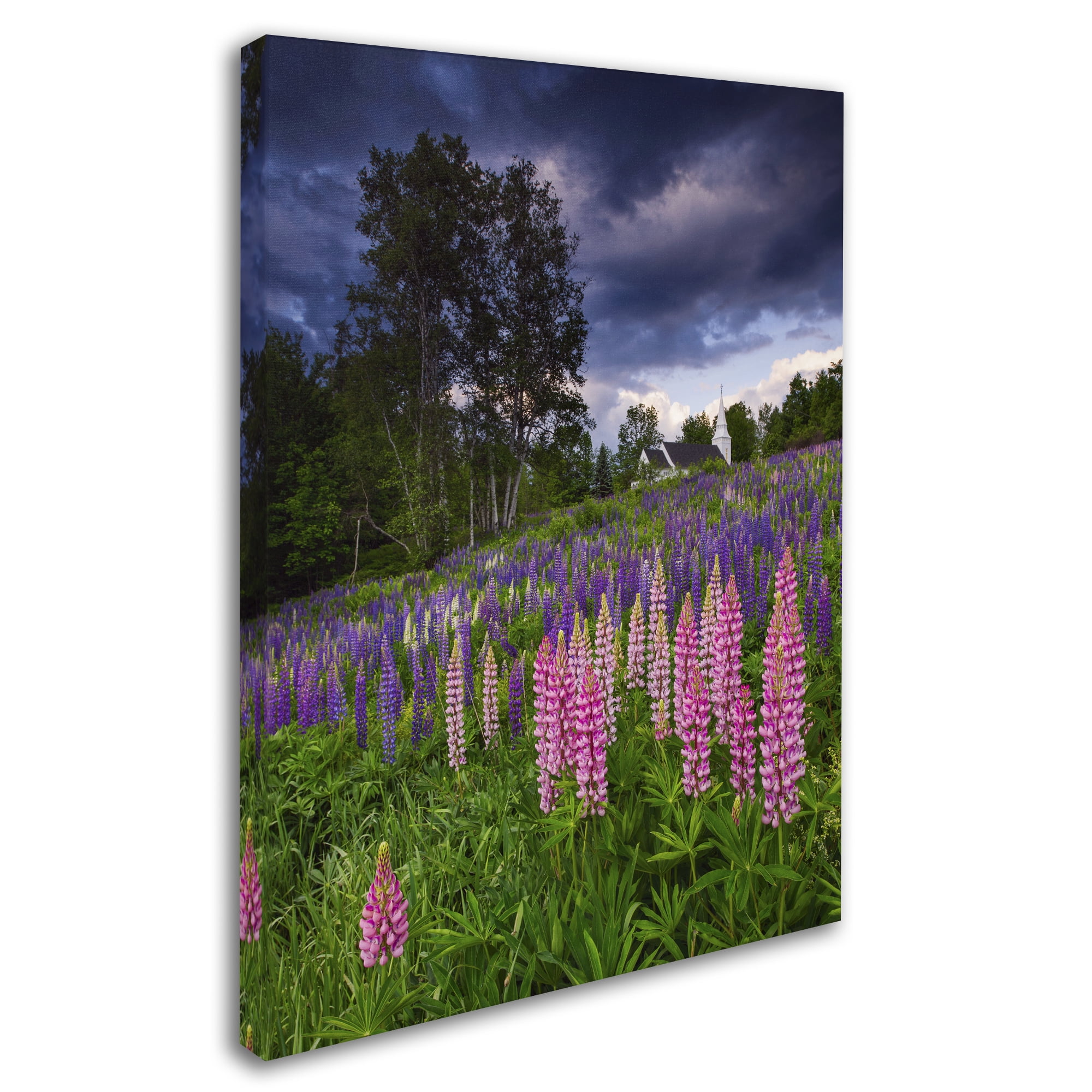 Trademark Fine Art 'Lupines on the Hill' Canvas Art by Michael Blanchette Photography