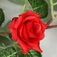 thumbnail image 5 of Guirnalda De Rosas Artificiales De Seda, Enredadera Floral De Primavera, Decoración De Hojas, Adorno Para El Hogar, Guirnalda Para Arco De Boda, Fondo Para Fiestas, 5 of 7