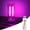 Purple, variant on CHENALIN Retro Car USB Night Light, Touch Control Mini LED Lamp for Car Interior, Camping, Party, Holiday, Bedroom, Desktop - Purple