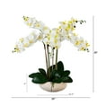 thumbnail image 3 of Nearly Natural Phalaenopsis Orchid Artificial Floral Arrangement with Ceramic Planter - 23" - White, 3 of 7