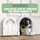 thumbnail image 5 of Puerta para Gatos Purrfect Portal Meow Manor XL Grande Blanca, 5 of 6