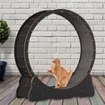 thumbnail image 4 of lionlar Roue d'Exercice pour Chat, Jouets d'Intérieur, Roue de Course pour Chat, Tapis Roulant pour Chat, avec Tapis L, 4 of 9