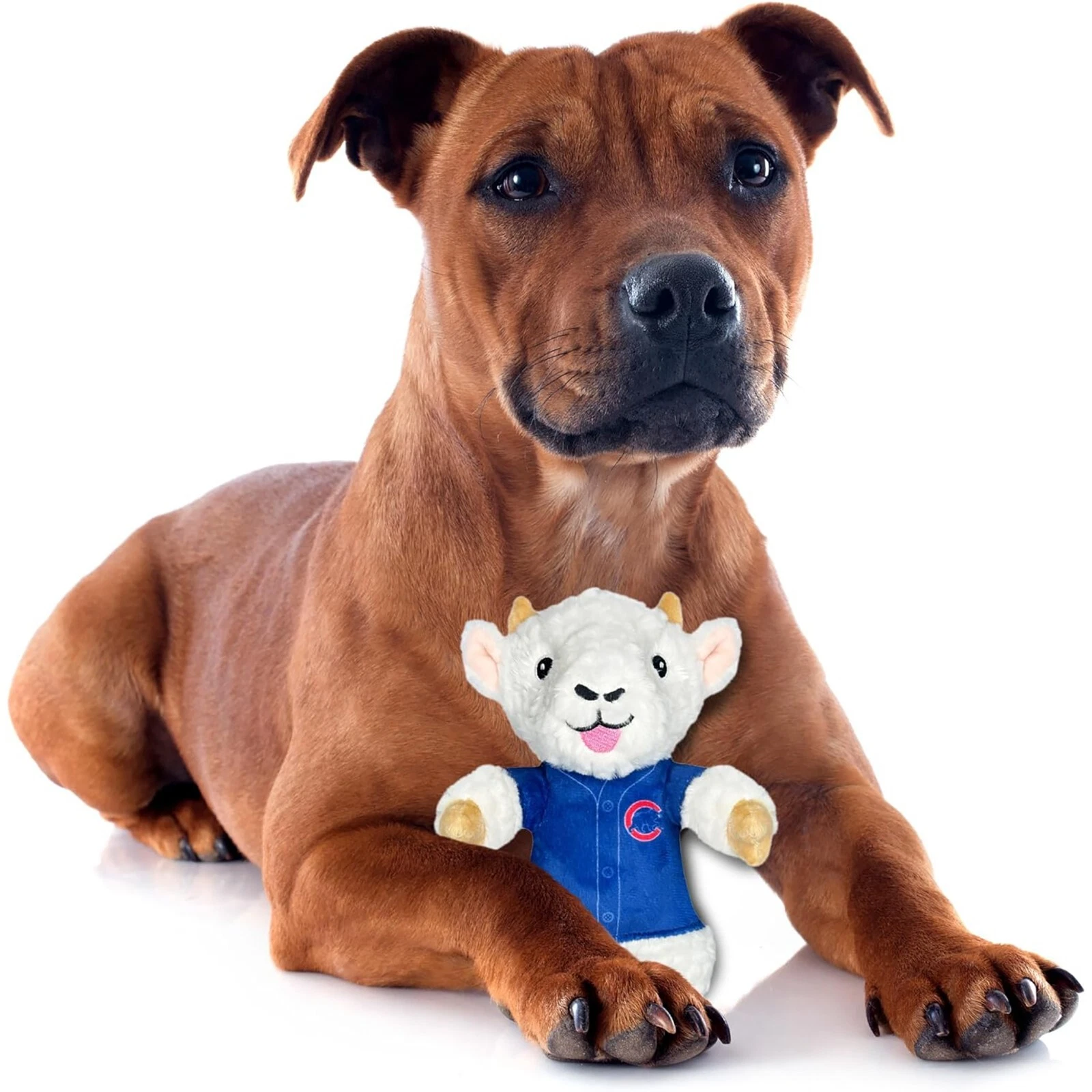 Pets First MLB Goat Plush Toy for Dogs & Cats Squeaky Dog Toy with Squeaker