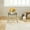 Clear Coffee, variant on 2 Step Portable Folding Step Stool with Anti-Slip Pedals, Step Ladder Hold up 110lbs for Home, Office, Kitchen (Clear Brown)